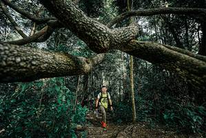 BIB: 
                            <button type="button" onclick="openModal(25706183)" class="btn btn-primary btn-sm float-right btn-popup" data-toggle="modal" data-target=".modal-high-quality">
                        <i class="fas fa-shopping-cart"></i> Add to Cart
                    </button>
                                            <button type="button" onclick="isThisMe(25706183, true)" class="btn btn-success btn-sm float-right btn-popup btn-isme hidden" data-toggle="tooltip" data-placement="bottom" title="นี่คือรูปของคุณใช่ไหม คลิกที่นี่เพื่อเอาเข้าอัลบั้ม">
                        <i class="fas fa-plus"></i> Add to album
                    </button>
                    <button type="button" onclick="isThisMe(25706183, false)" class="btn btn-warning btn-sm float-right btn-popup btn-isnotme hidden">
                        <i class="fas fa-ban"></i> Remove from album
                    </button>